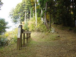 DSC01249.jpg