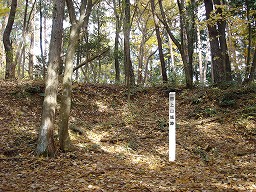 DSC01311.jpg