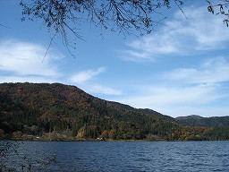 DSC01338.jpg