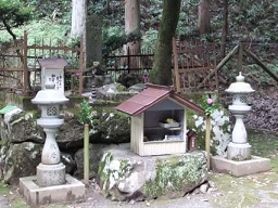 DSCF3114.jpg